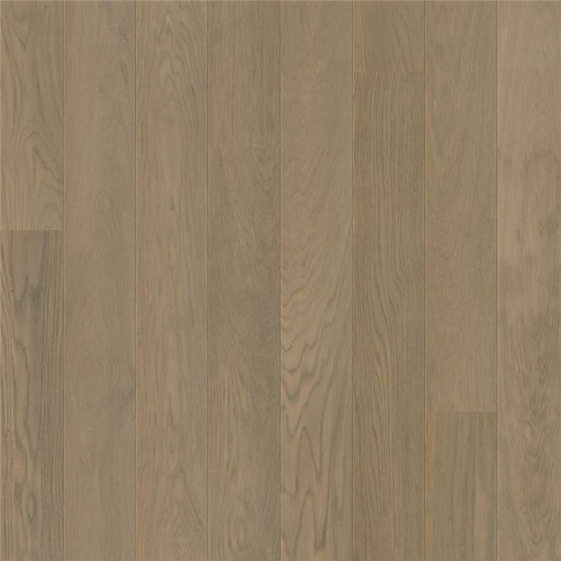 Vivid Grey Oak Extra Matt CAS5107S